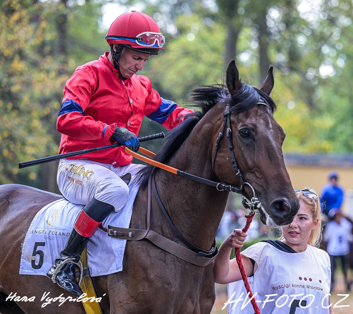 DSC_7188 kopie.jpg